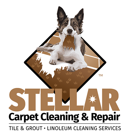 Logo designed for Stellar Carpet Cleaning and Repair of Florida.