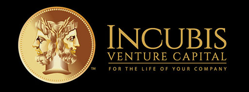 Logo design and branding for Incubis Venture Capital of Florida.