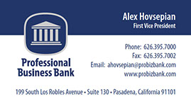 Business card design for Professional Business Bank.